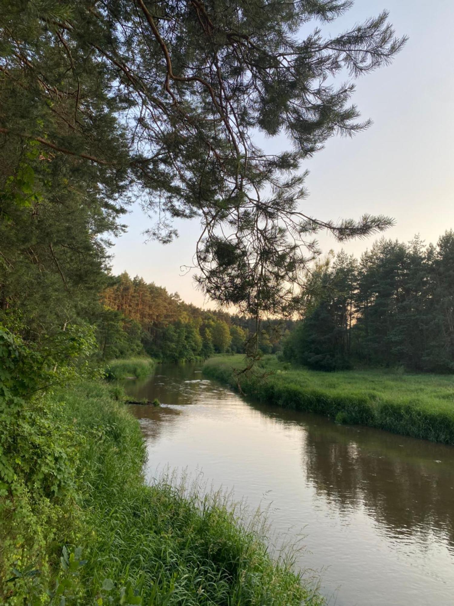 Przytulny Domek W Lesie Blisko Rzeki Ryczywol  Exteriér fotografie