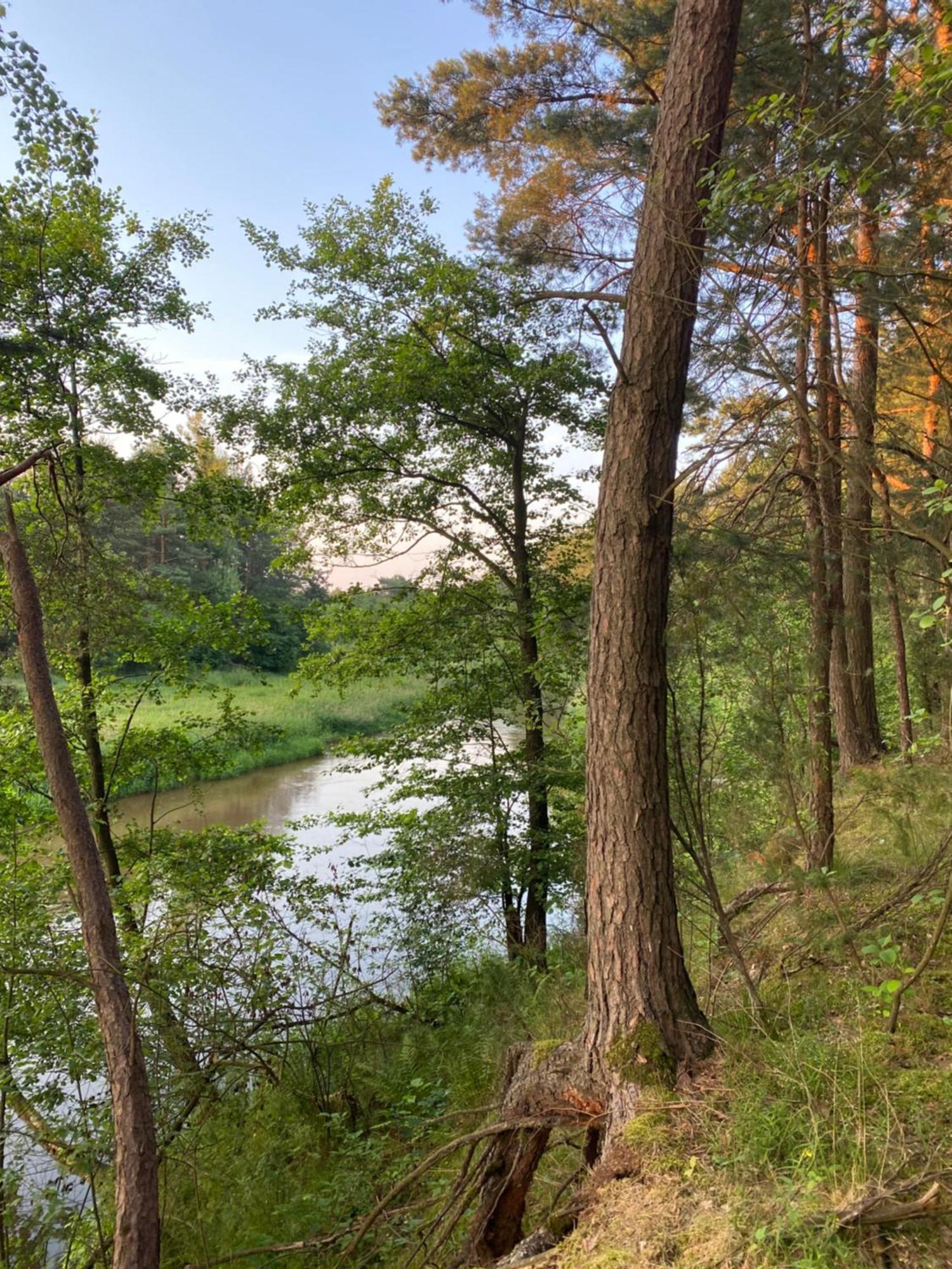 Przytulny Domek W Lesie Blisko Rzeki Ryczywol  Exteriér fotografie