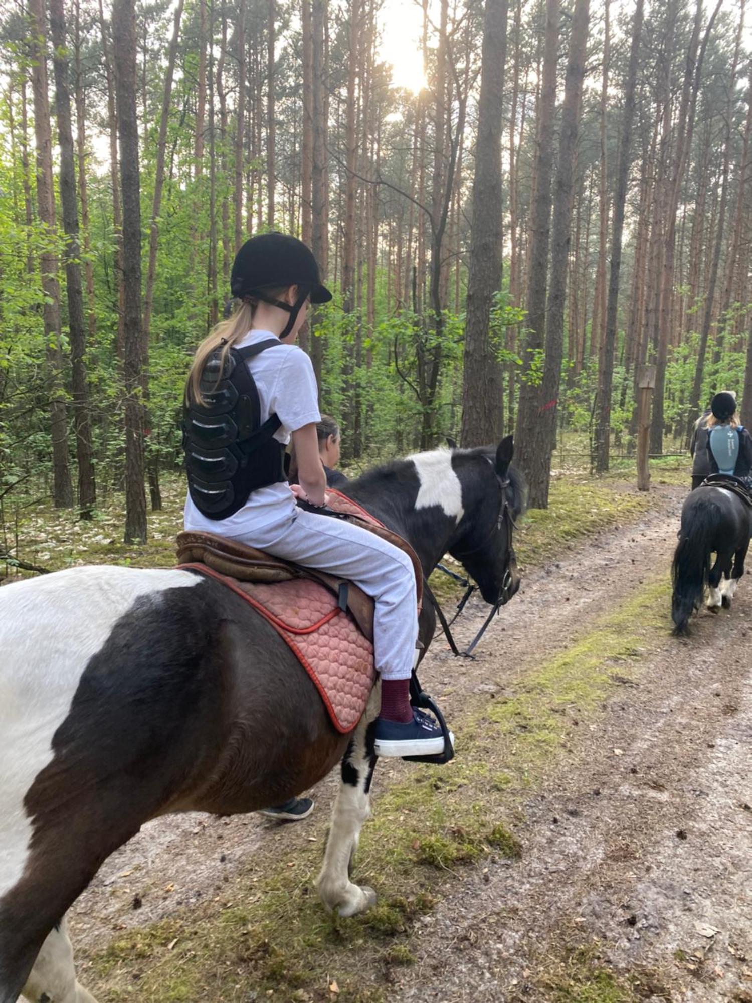 Przytulny Domek W Lesie Blisko Rzeki Ryczywol  Exteriér fotografie